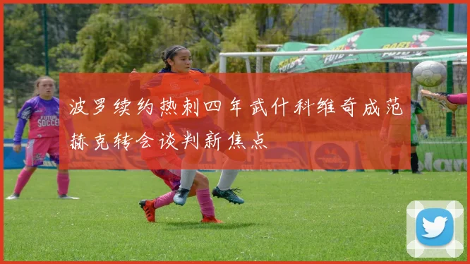 波罗续约热刺四年武什科维奇成范赫克转会谈判新焦点