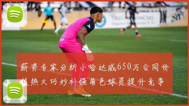 薪资专家分析小哈达威650万合同价值热火巧妙补强角色球员提升竞争力