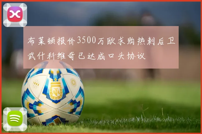 布莱顿报价3500万欧求购热刺后卫武什科维奇已达成口头协议