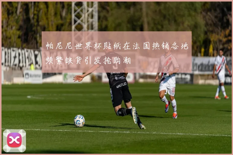 帕尼尼世界杯贴纸在法国热销各地频繁缺货引发抢购潮